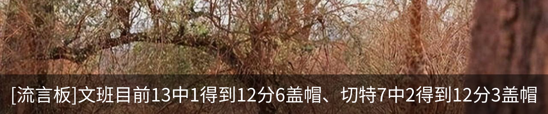 资讯中心